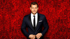 The Bachelor kép