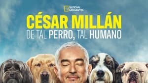 Cesar Millan: Jó gazdi, jó kutya kép