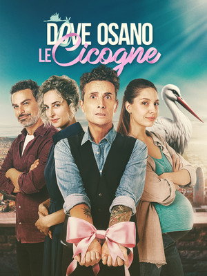 Dove osano le cicogne poszter