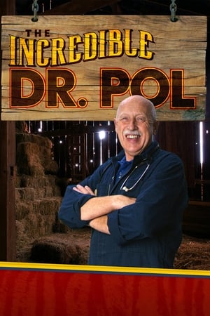 Dr. Pol állatklinikája poszter