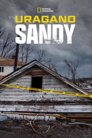 Superstorm New York: What Really Happened poszter