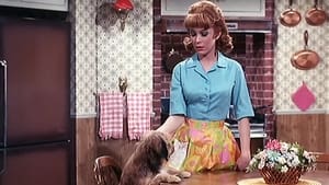 Petticoat Junction 6. évad Ep.21 21. epizód