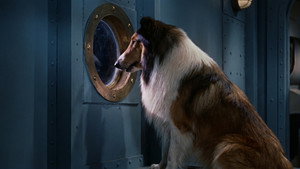 Lassie az utazó háttérkép