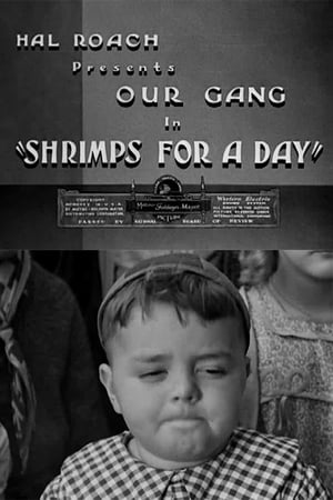 Shrimps for a Day