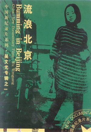 流浪北京 poszter