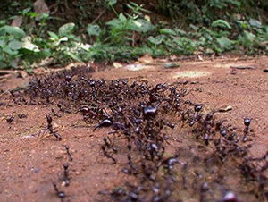 Life Force 2. évad Ep.1 1. epizód