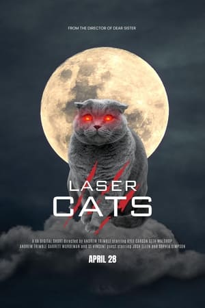 Laser Cats poszter