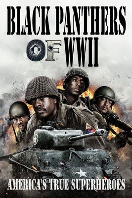 Black Panthers of WWII poszter