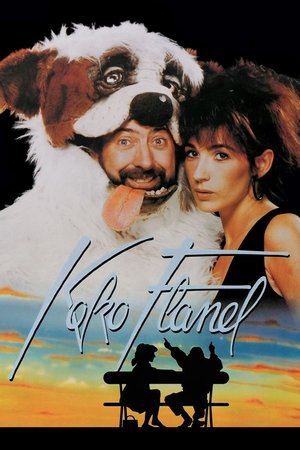 Koko Flanel poszter