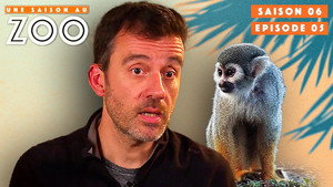 Une saison au zoo Season 6 Ep.5 5. epizód