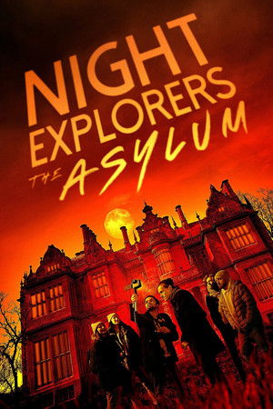 Night Explorers: The Asylum poszter