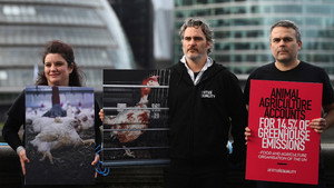 Joaquin Phoenix — Schauspieler der Extreme háttérkép