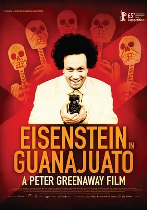 Eisenstein in Guanajuato poszter