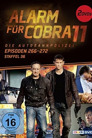 Cobra 11