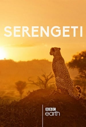 Élet a Serengeti Nemzeti Parkban poszter