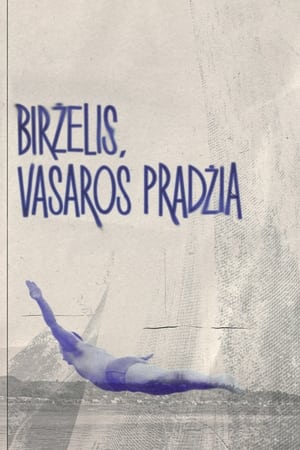 Birželis, vasaros pradžia poszter