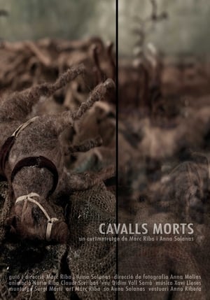 Cavalls morts