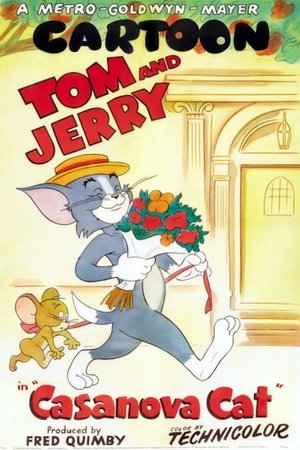 Tom, a hódító