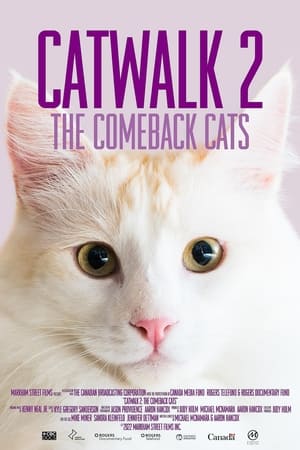 Catwalk 2: The Comeback Cats poszter