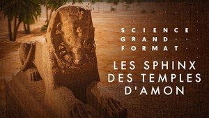 Science grand format 8. évad Ep.21 21. epizód