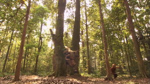 西游记 Season 1 Ep.36 36. epizód