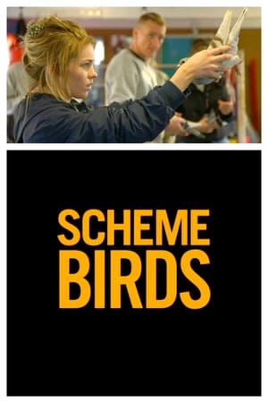 Scheme Birds poszter