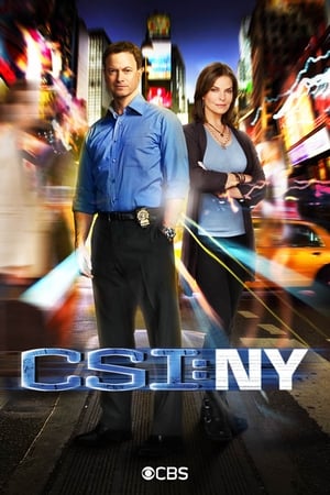 CSI: New York-i helyszínelők poszter