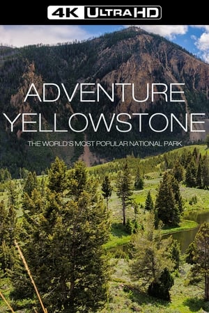 Adventure Yellowstone - Der Ruf der Wildnis poszter