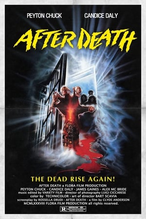 After Death - Oltre la morte poszter