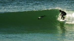 La Ola sin Fronteras: Una expedición al Atlántico Sur háttérkép