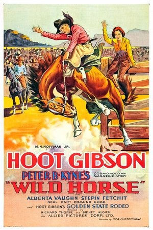 Wild Horse poszter