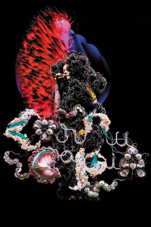 Björk: Cornucopia poszter