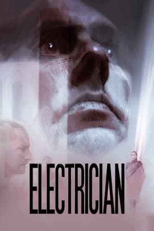 Electrician