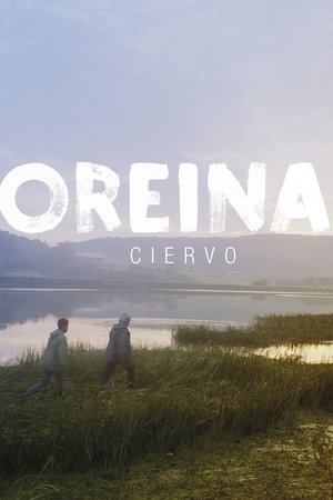 Oreina poszter