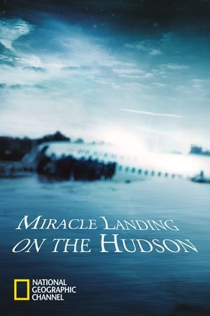 Miracle Landing on the Hudson poszter