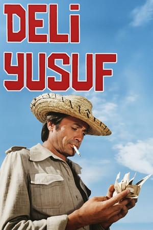 Deli Yusuf poszter