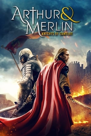 Arthur & Merlin: Knights of Camelot poszter