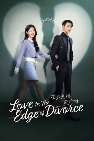 爱在离婚进行时 poszter