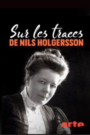 Sur les traces de Nils Holgersson poszter