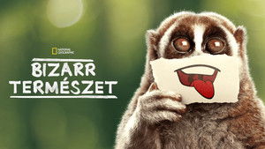 Bizarr természet kép