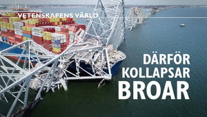 Vetenskapens värld 51. évad Ep.20 20. epizód