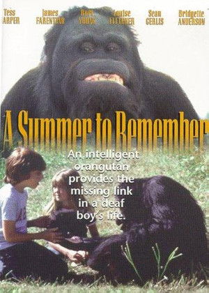 A Summer to Remember poszter