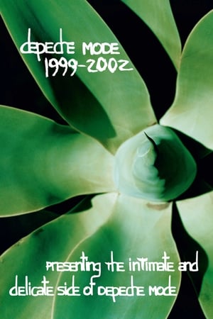 Depeche Mode: 1999–2002 “Presenting the Intimate and Delicate side of Depeche Mode”