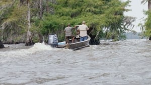 Swamp People 9. évad Ep.3 3. epizód