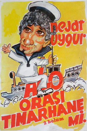 Alo Orası Tımarhane mi poszter