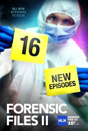 Forensic Files II poszter