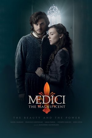 A Mediciek hatalma poszter