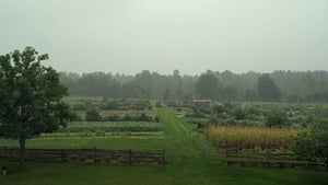 La ferme et son état háttérkép