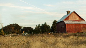 Farm Crime kép