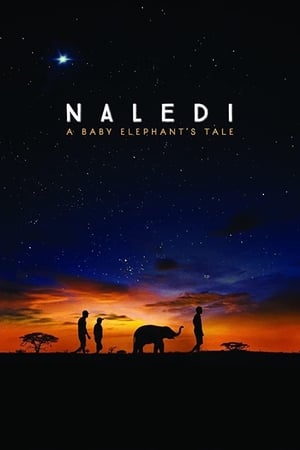 Naledi: A Baby Elephant's Tale poszter